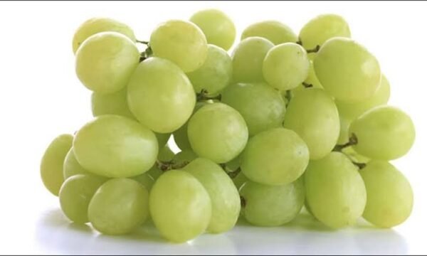 Grapes(টাটকা সবুজ আঙ্গুর ফল)