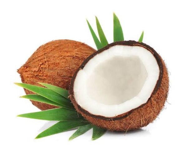 COCONUT BROWN(নারিকেল)