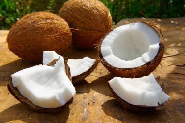 COCONUT BROWN(নারিকেল) - Image 2
