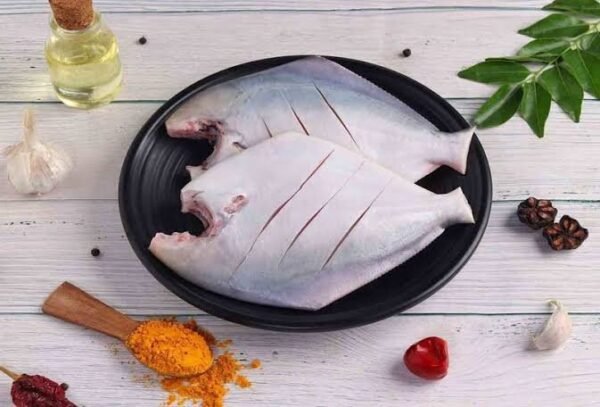 POMFRET FISH - Image 3