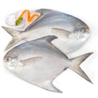 POMFRET FISH