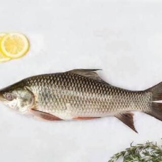 RUI FISH(রুই মাছ)