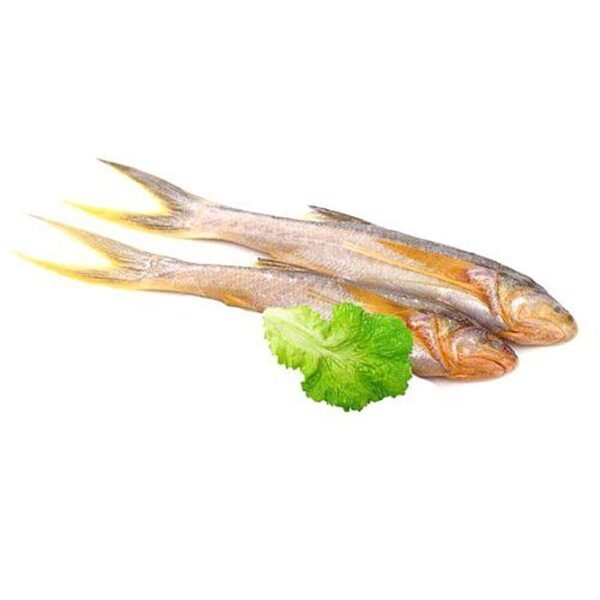 TOPSIA FISH - Image 3