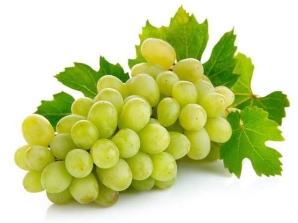 GREPES(টাটকা আঙ্গুর ফল)