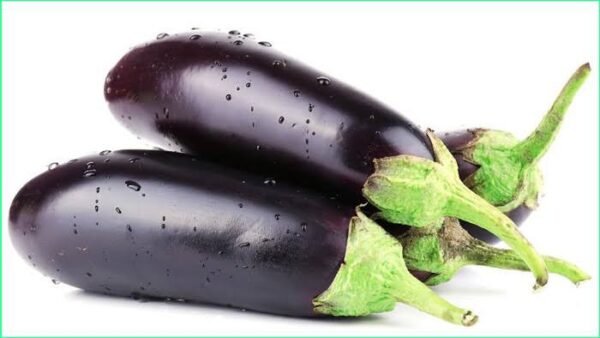 BRINJAL(বেগুন)