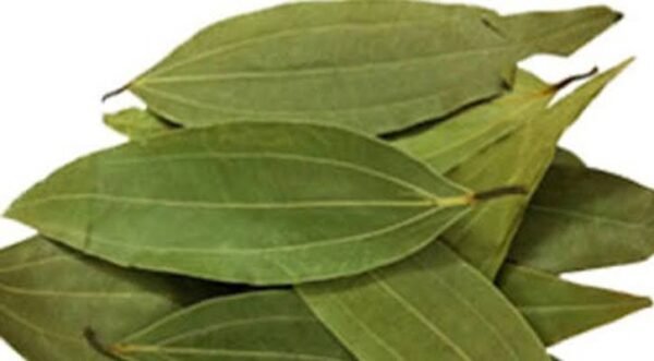 TEJPATTA(তেজপাতা) - Image 3