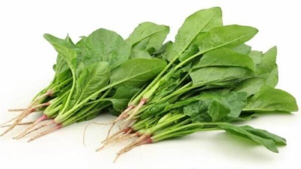 SPINACH/PALONG SHOOK(পালং শাক) - Image 2