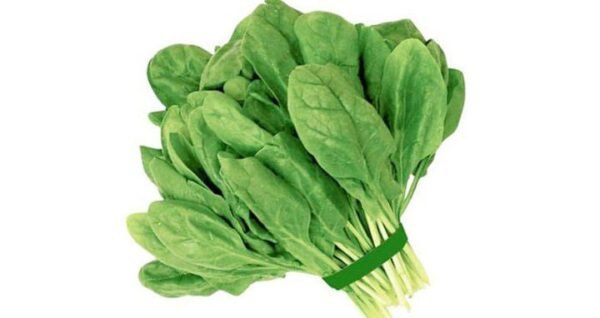 SPINACH/PALONG SHOOK(পালং শাক) - Image 3