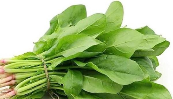 SPINACH/PALONG SHOOK(পালং শাক)