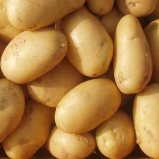 Jyoti aloo(জ্যোতি আলু)