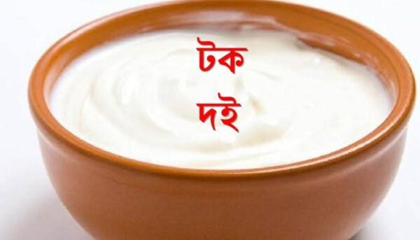 Tok doi(টক দই মিষ্টির দোকানের)