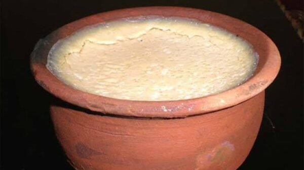 Mishti doi(মিষ্টি দই)