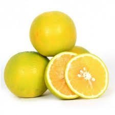 sweet Lime(মুসুম্বি মিষ্টি লেবু)