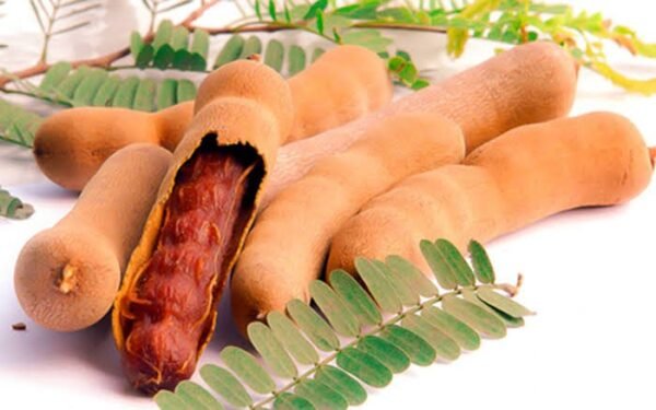 Paka Tetul(পাকা তেঁতুল)