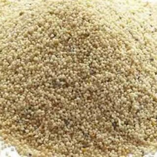 Postodana(পোস্ত)