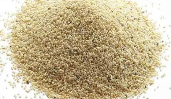 Postodana(পোস্ত)