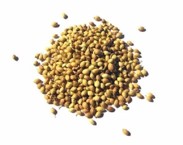 Whole Coriander Seeds (Gota Dhone) গোটা ধনে