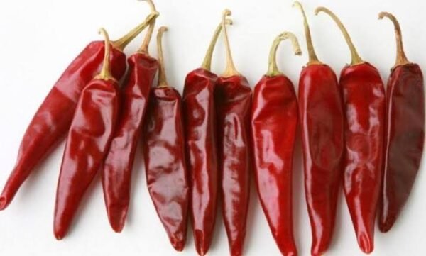 Dry Red Chilli / Shukno Lanka Whole 100 gm

শুকনো লাল মরিচ / শুকনো লঙ্কা 100 গ্রাম - Image 2