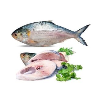 ইলিশ মাছ (1kg-থেকে1.250 মধ্যে) – Ilish  fish